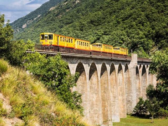 tren amarillo